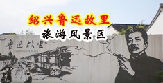 日逼网站观看中国绍兴-鲁迅故里旅游风景区